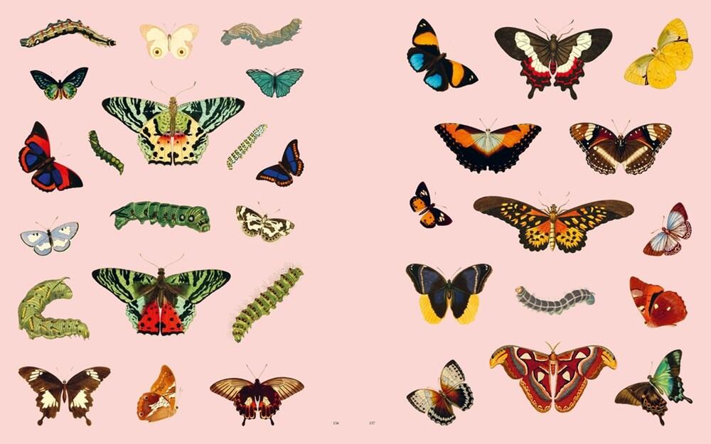 Extraordinary Things klistermærkebog